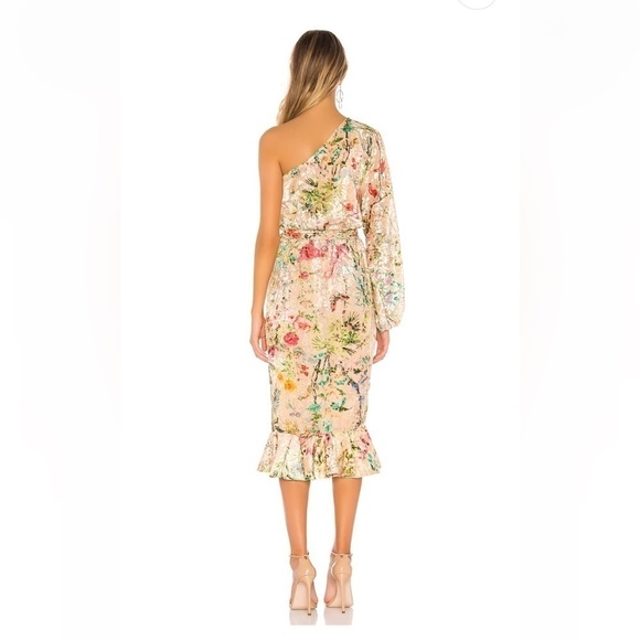 NWT HEMANT AND NANDITA Veena Midi Dress in Nude Floral Ruffle Velvet Sz Small - Picture 3 of 11